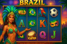 Cricket match betting markets available on the BGD99 platform for Bangladesh users